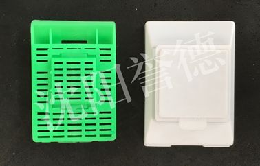 China Large Size Tissue Processing Cassettes , Green Pathology Cassette Design Reasonable supplier